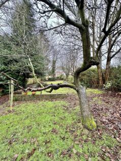 Property Image 66